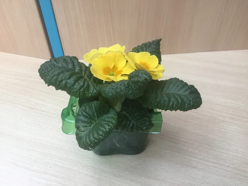 Gallery - created at 2021-04-16 07:58:15 - image 6 Gallery - created at 2021-04-16 07:58:15 - image 6