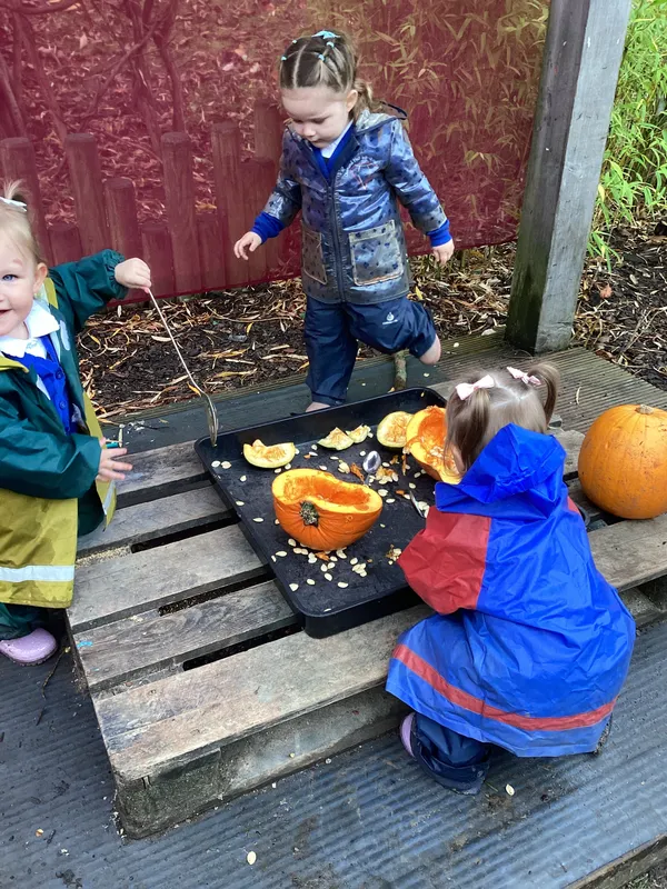 Gallery - created at 2024-10-31 07:35:31 - image 51 Gallery - created at 2024-10-31 07:35:31 - image 51