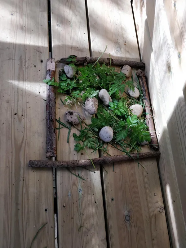 Y3 Forest schools - image 3