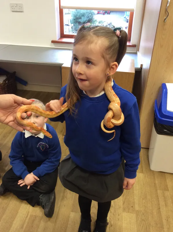 Gallery - created at 2024-02-26 17:15:57 - image 39 Gallery - created at 2024-02-26 17:15:57 - image 39