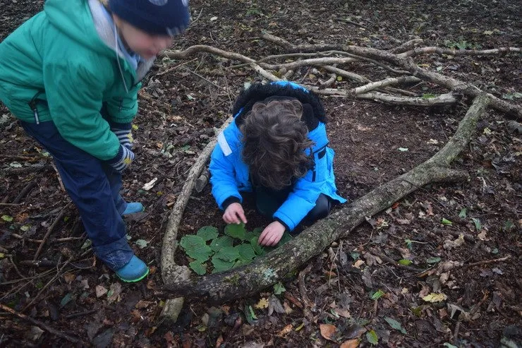 Gallery 6 - image 16