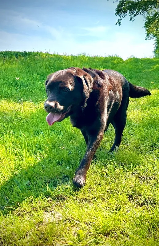 Gallery - created at 2021-06-30 13:57:57 - image 11