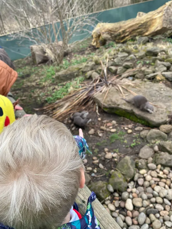 Gallery - created at 2023-02-28 20:50:59 - image 22 Gallery - created at 2023-02-28 20:50:59 - image 22