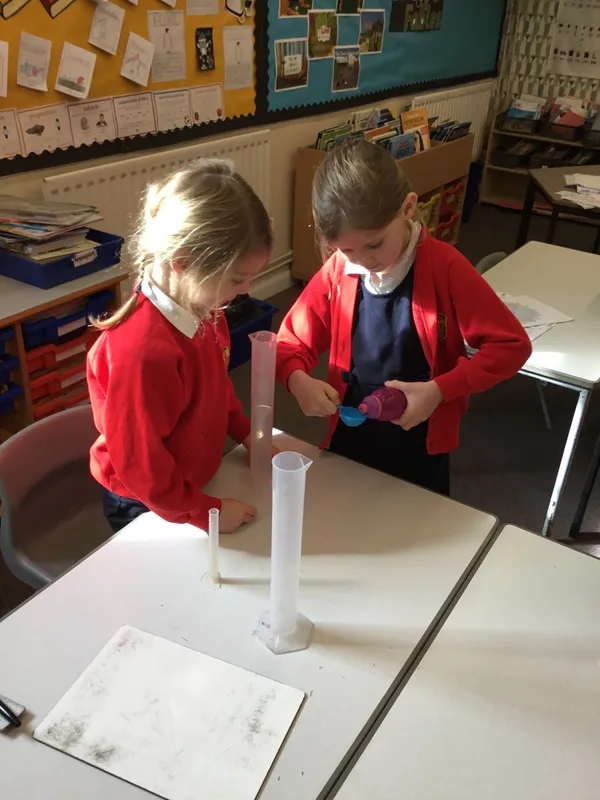 Gallery - created at 2023-03-09 20:11:39 - image 5