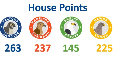 House Points 28th November 2025