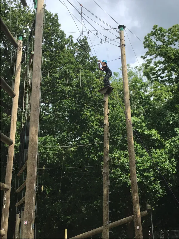 Gallery - image 23 Gallery - image 23