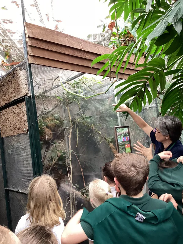 Gallery - created at 2025-03-14 10:11:21 - image 4 Gallery - created at 2025-03-14 10:11:21 - image 4