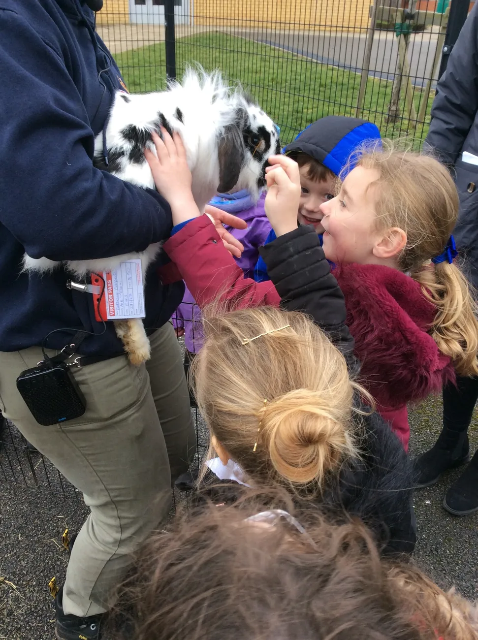 Gallery - created at 2023-03-03 16:33:51 - image 19