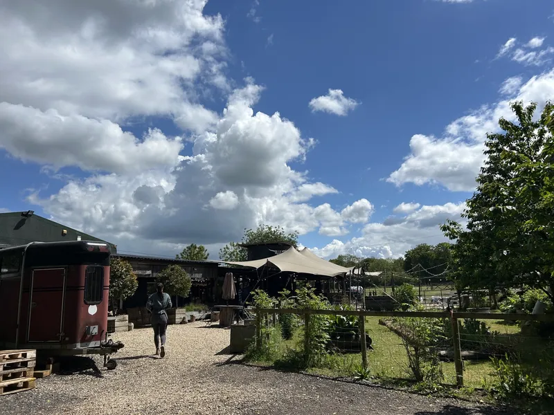 Blue Tin Visit  - image 12