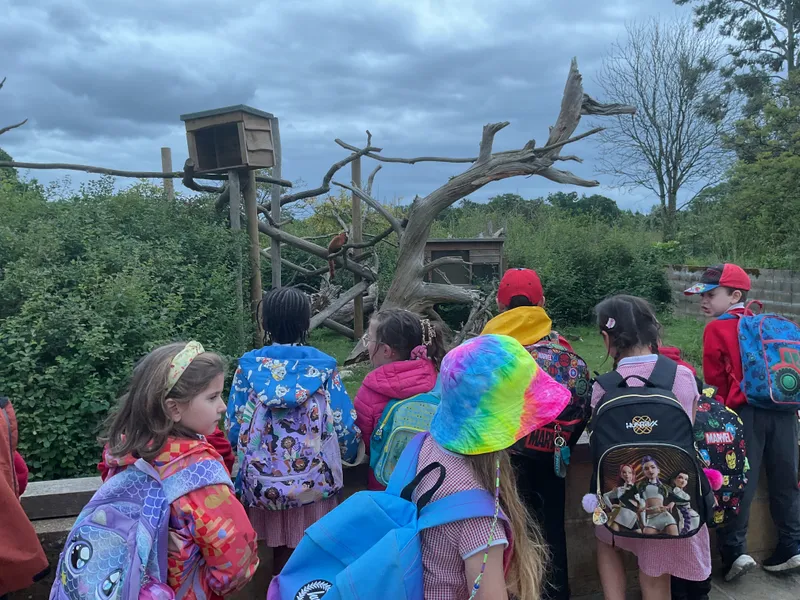 Year 1 trip to Cotswold Wildlife Park - image 3 Year 1 trip to Cotswold Wildlife Park - image 3