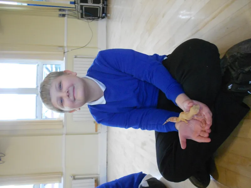 Y6 Reptile Rendezvous - image 39