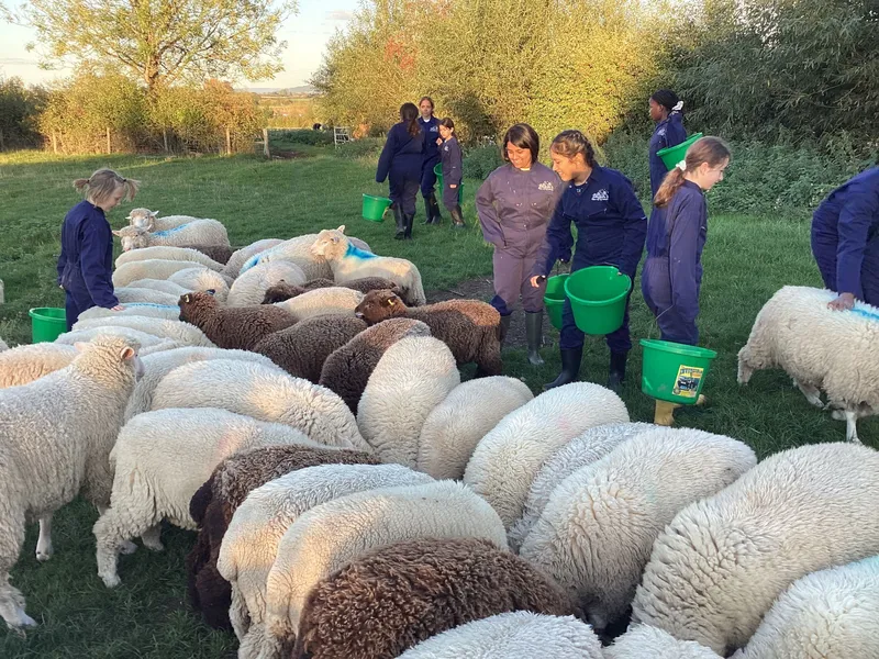 Farm Trip 2025 - image 6