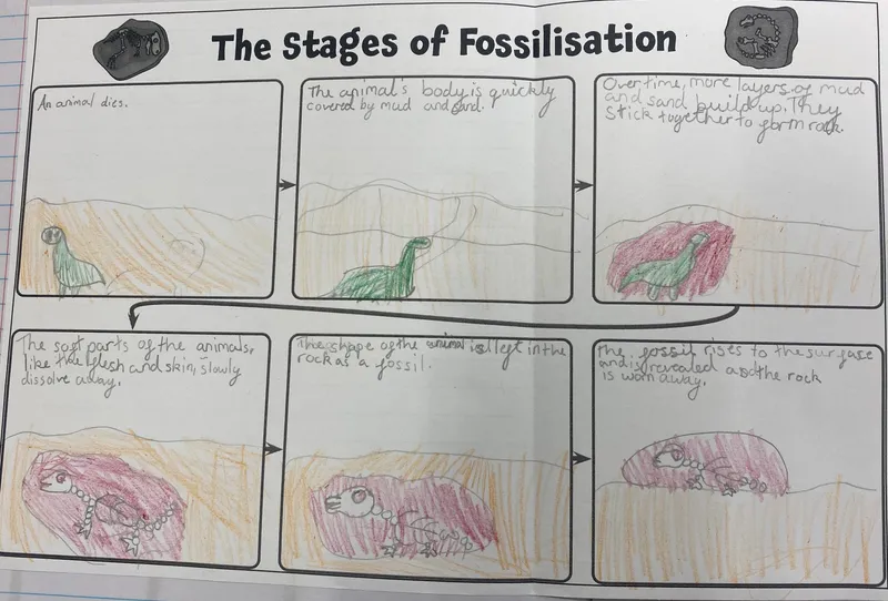 Gallery - created at 2024-10-05 17:25:44 - image 12