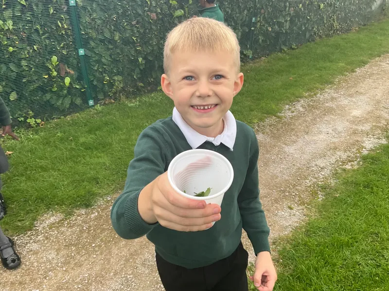 Beech Science Sensory Walk - image 14