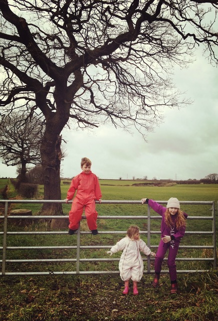 image12.jpeg