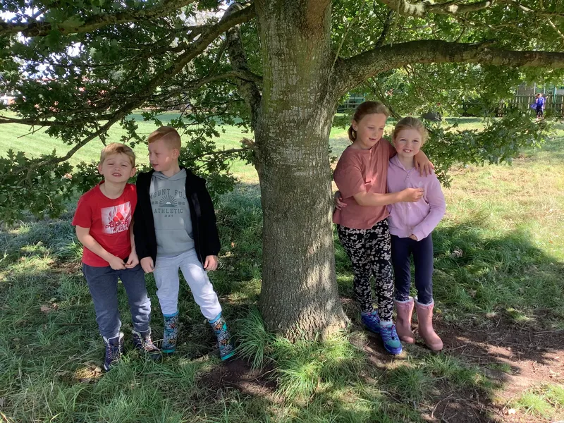 Swallows enjoying their first Forest School session - image 9 Swallows enjoying their first Forest School session - image 9