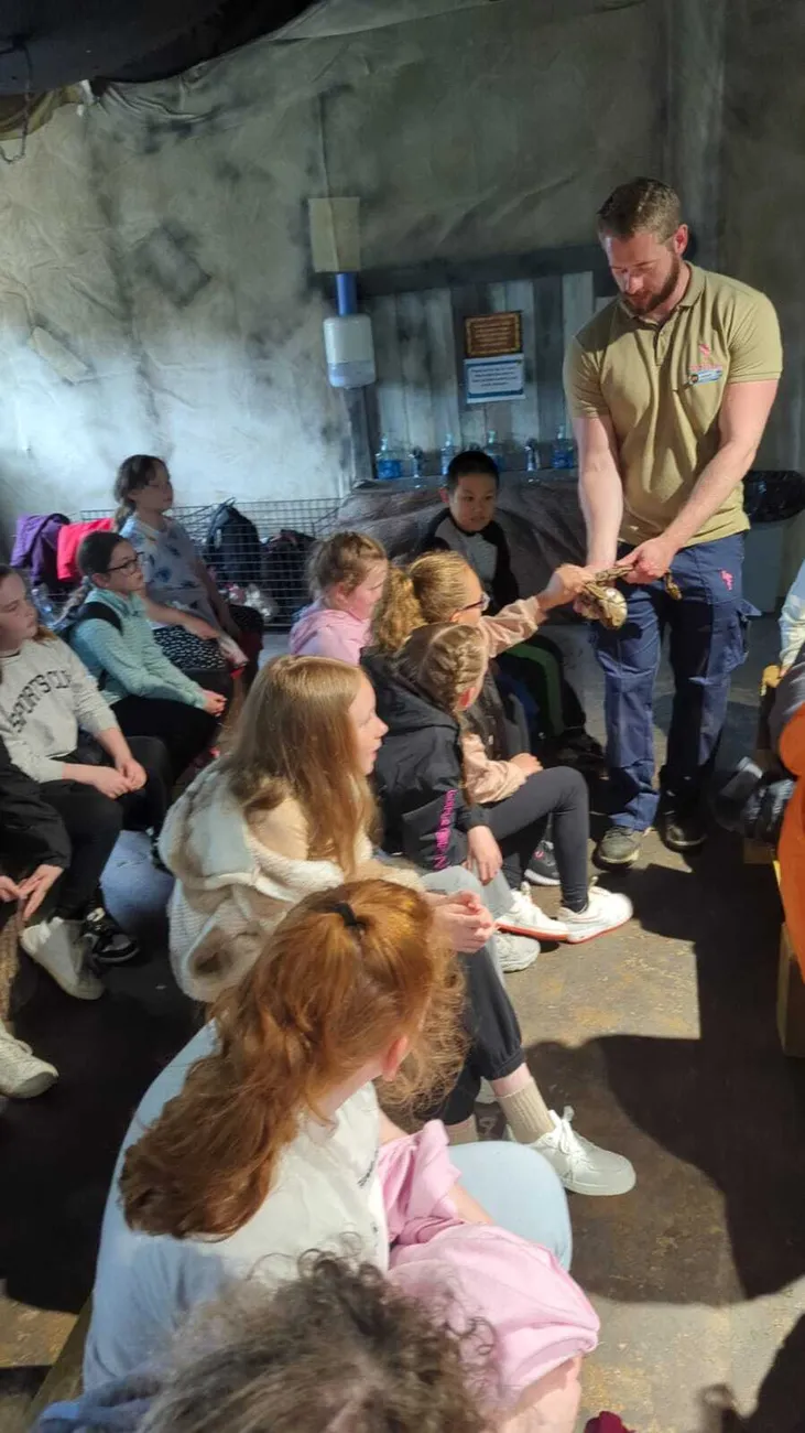 Gallery - created at 2024-06-06 15:03:55 - image 55