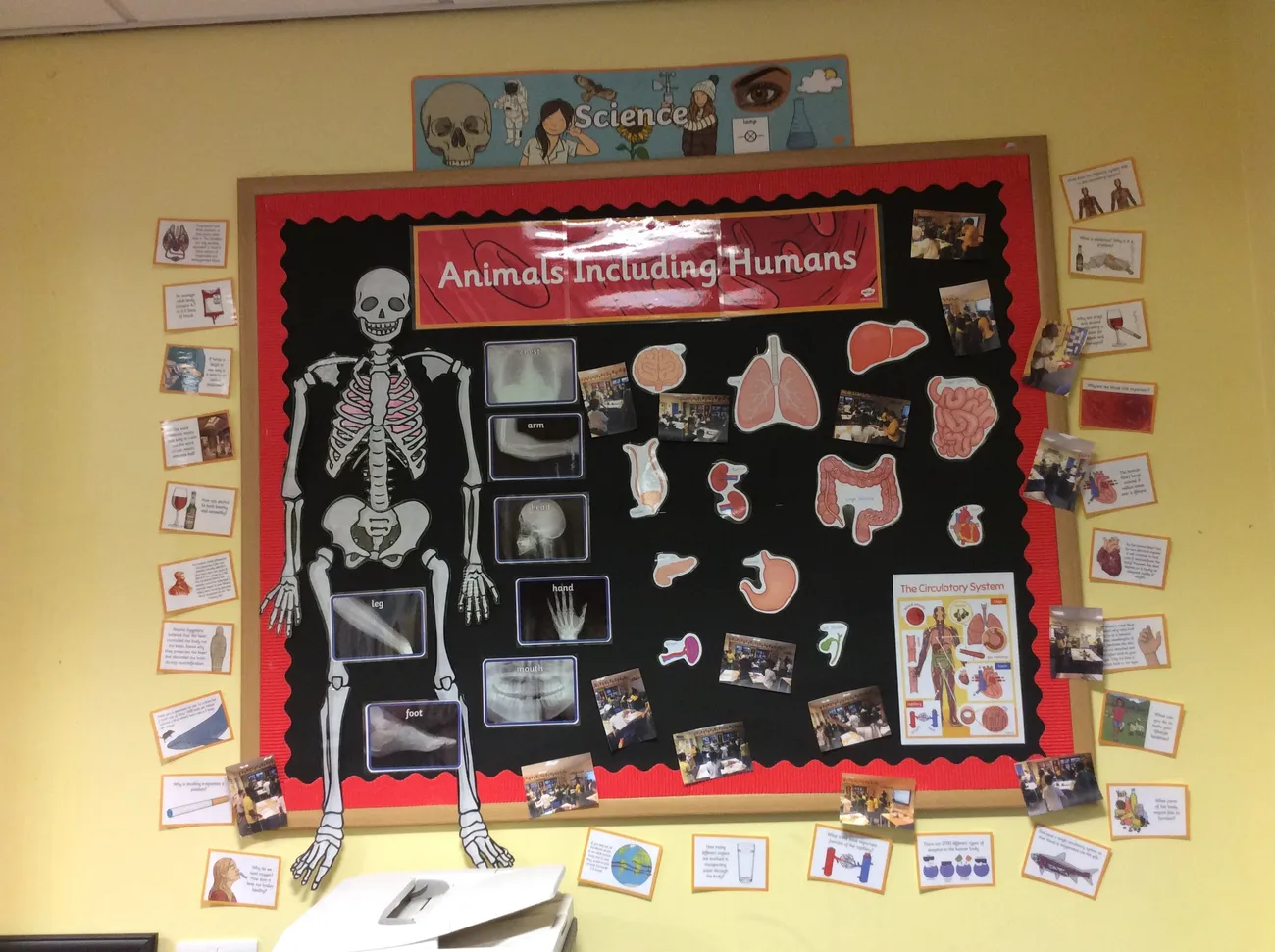 Gallery - created at 2020-04-23 11:54:25 - image 11