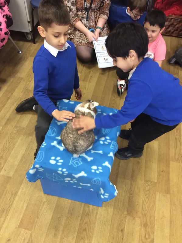 Gallery - created at 2024-03-05 13:52:56 - image 62 Gallery - created at 2024-03-05 13:52:56 - image 62