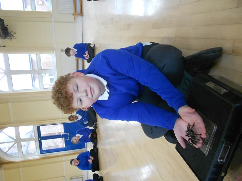 Y6 Reptile Rendezvous - image 79