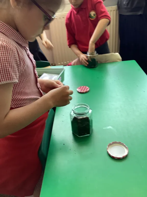 Beech Class: Topic Day - image 4