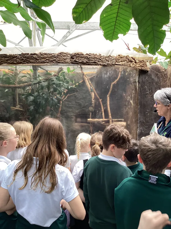 Gallery - created at 2025-03-14 10:11:21 - image 21 Gallery - created at 2025-03-14 10:11:21 - image 21