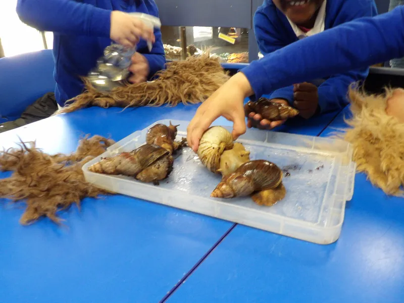 Y3 Yorkshire Wildlife Park Trip - image 45