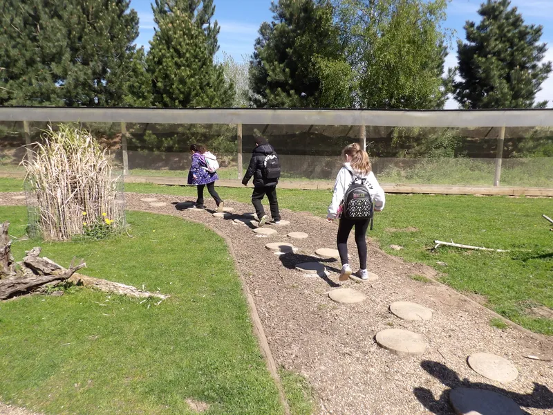 Y3 Yorkshire Wildlife Park Trip - image 4