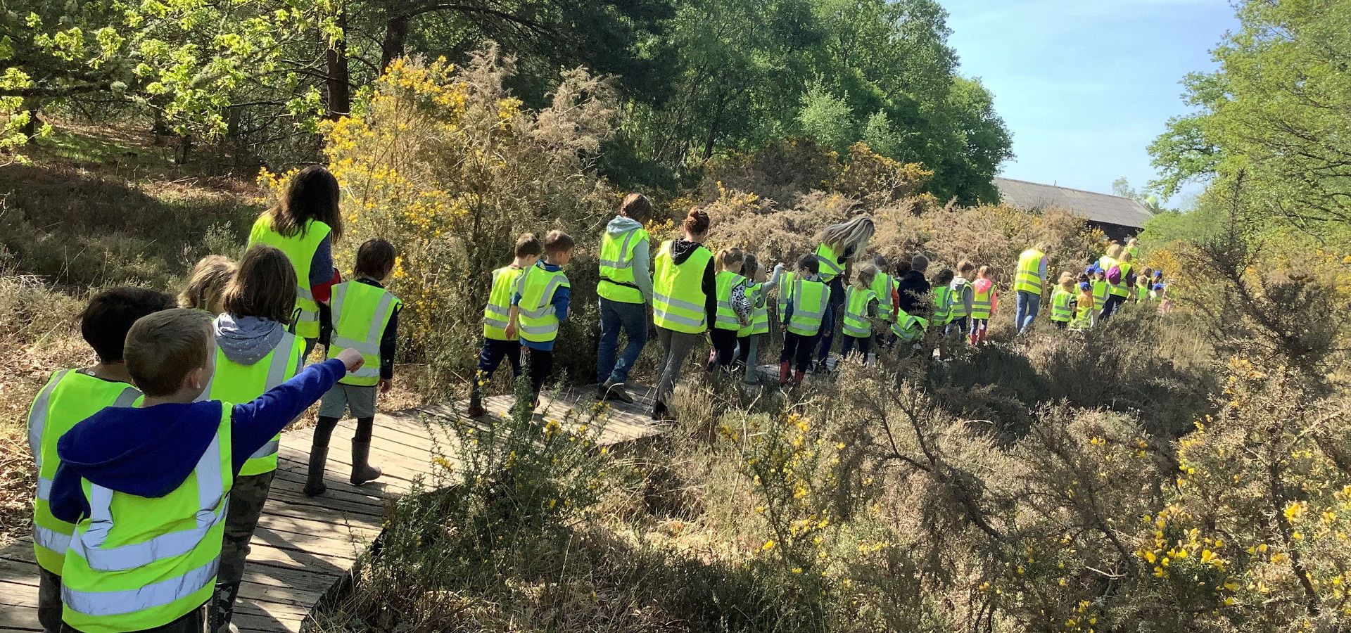 Our children enjoy exploring and learning in the countryside. Our Woodland Wonders Forest School sessions are a highlight of each week.