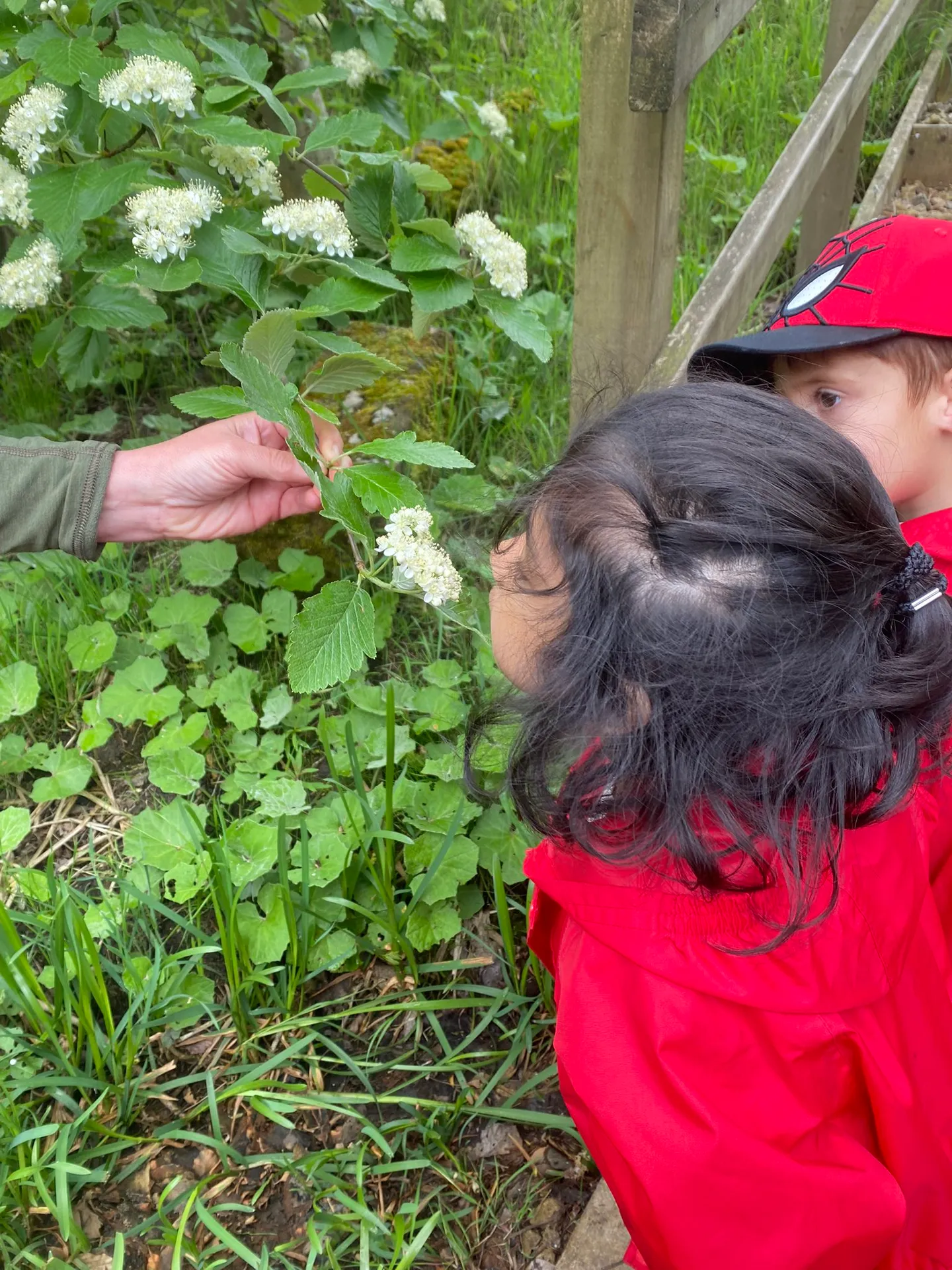 Rafted Canoeing - image 8