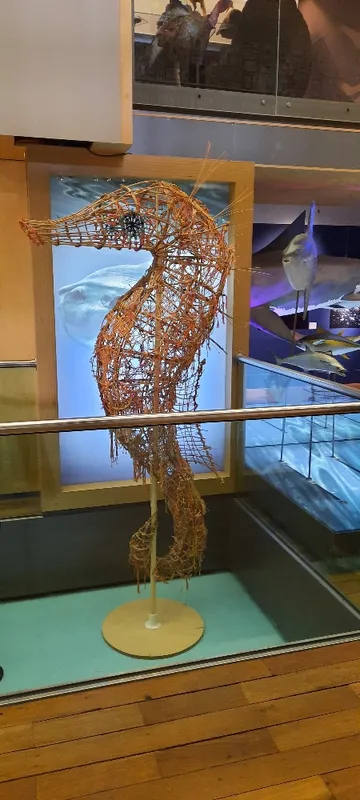 Whole School Trip to Newcastle  - image 22