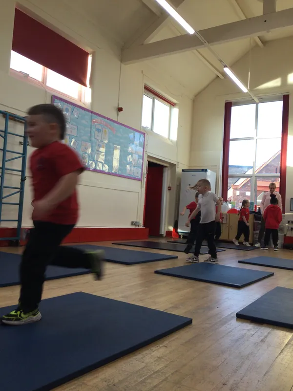 Y1 PE - image 1 Y1 PE - image 1