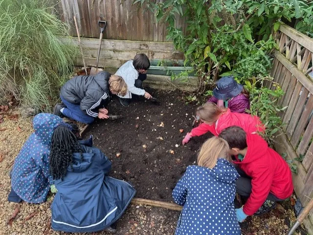 Looking after the Peace Garden - image 1