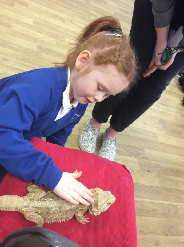 Gallery - created at 2024-03-05 13:52:56 - image 25 Gallery - created at 2024-03-05 13:52:56 - image 25