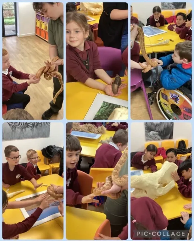 Gallery - created at 2024-05-09 15:50:24 - image 5 Gallery - created at 2024-05-09 15:50:24 - image 5