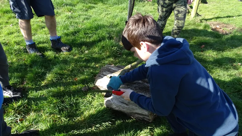 Years 5&6 Forest Schools - image 13