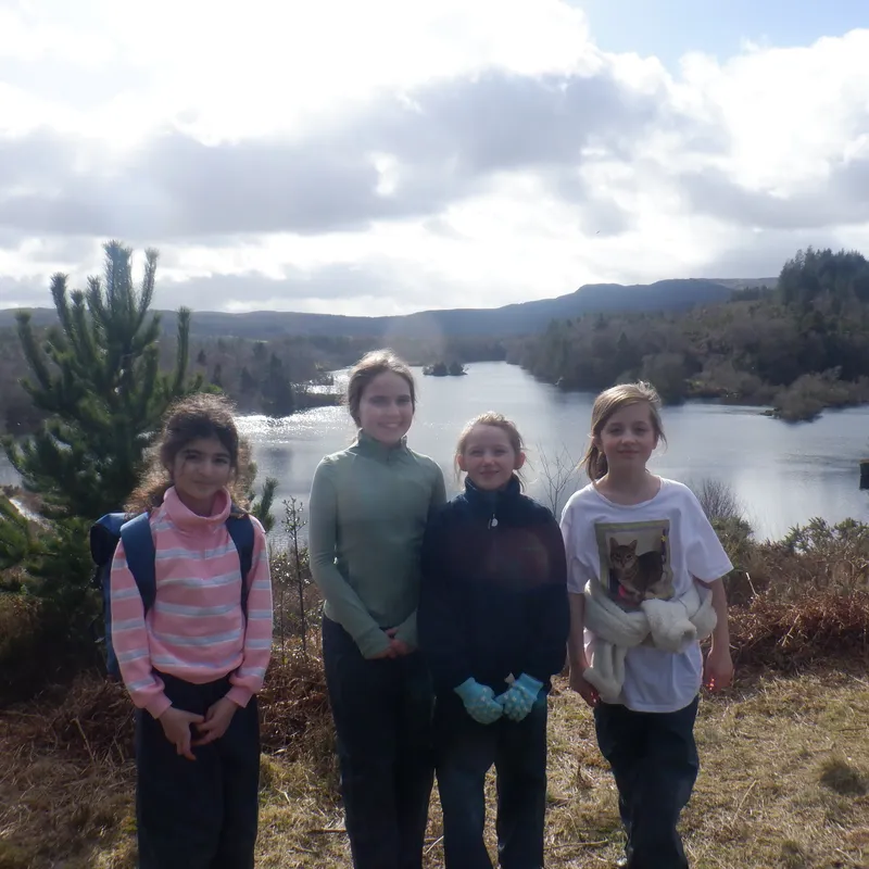 Gallery - created at 2025-02-27 19:57:56 - image 19