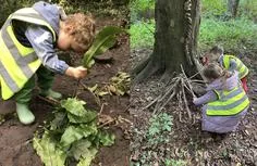 Forest School 61 - image 4 Forest School 61 - image 4