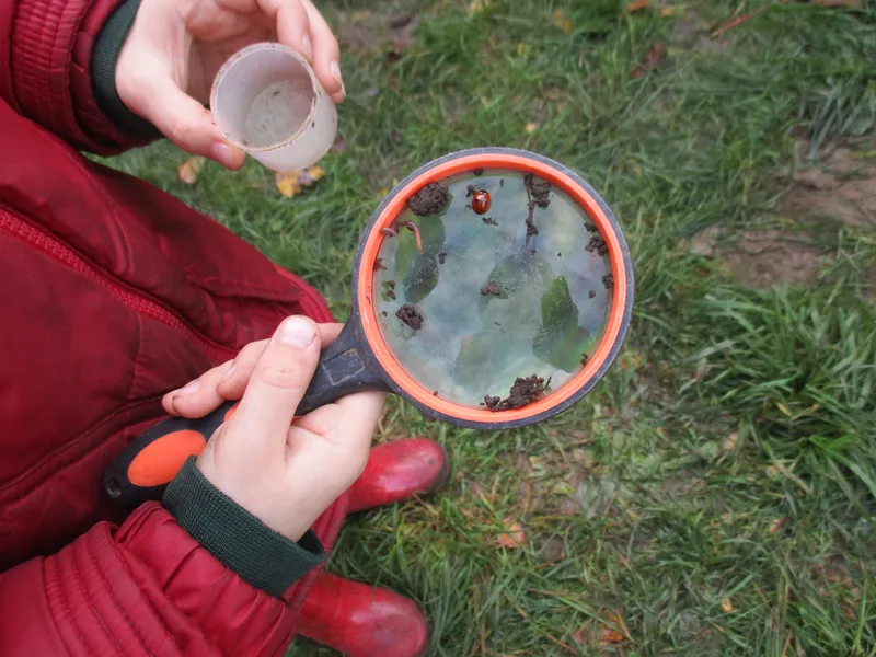 Forest School Fun Year 1 - image 12 Forest School Fun Year 1 - image 12