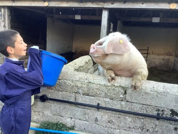 Farm Trip 25 - Gallery 2 - image 2