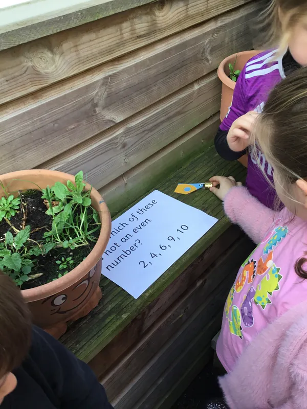 Gallery - created at 2024-03-01 11:02:20 - image 13 Gallery - created at 2024-03-01 11:02:20 - image 13