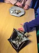 Forest School 150 - image 4 Forest School 150 - image 4