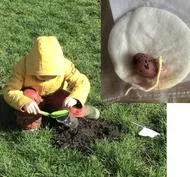 Forest School 45 - image 2 Forest School 45 - image 2