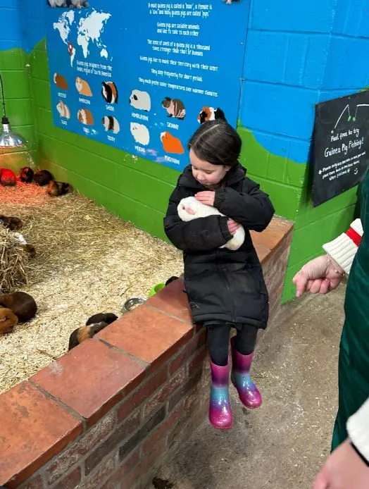 Gallery - created at 2024-01-29 10:19:28 - image 1