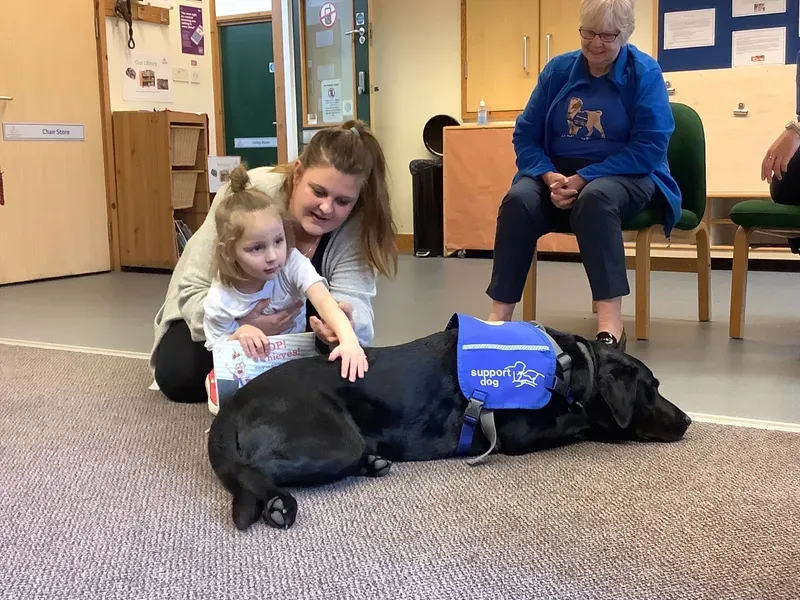 ANS - Support Dog Visit - image 5 ANS - Support Dog Visit - image 5