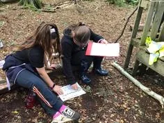 Forest School 147 - image 2 Forest School 147 - image 2