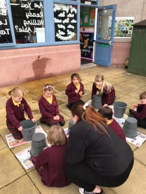 Gallery - created at 2023-03-24 15:06:35 - image 7