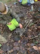 Forest School 84 - image 2 Forest School 84 - image 2