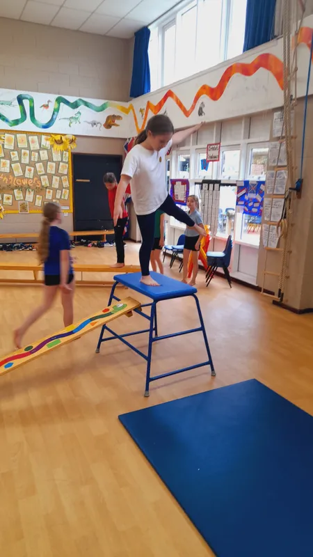 PE - Gymnastics - image 3 PE - Gymnastics - image 3