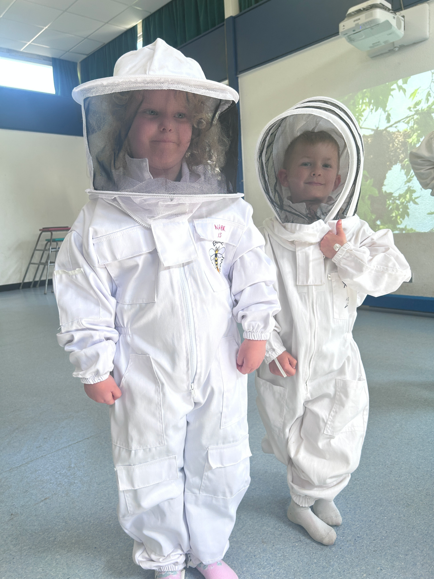 Bee Keeping Experience 